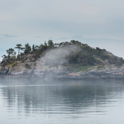 Capture d'écran110743