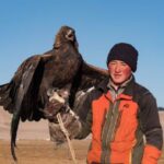 Chasse à l'aigle en Mongolie