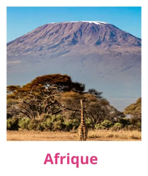 afrique pola (3)