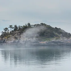 Capture d'écran110743